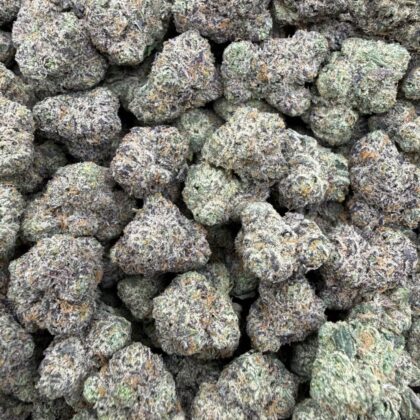 Bubblegum
