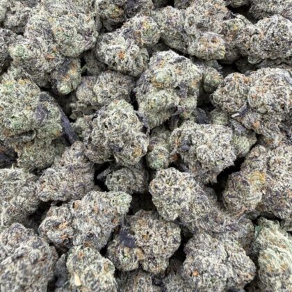 Purple Gumdrops