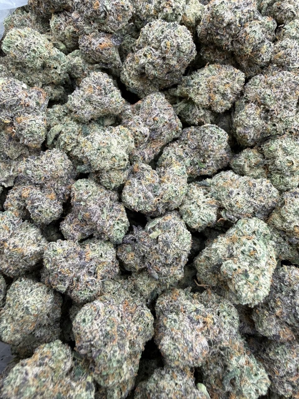 Candy Cut (Licensed Indoor)