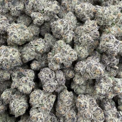 Blue Ice Popz