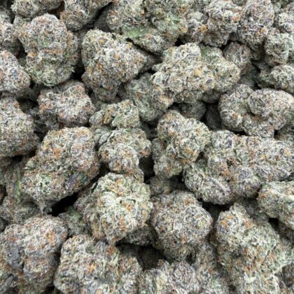 Lemon Cherry Gelato